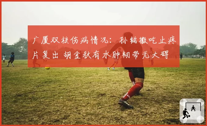 广厦双核伤病情况：孙铭徽吃止疼片复出 胡金秋有水肿韧带无大碍